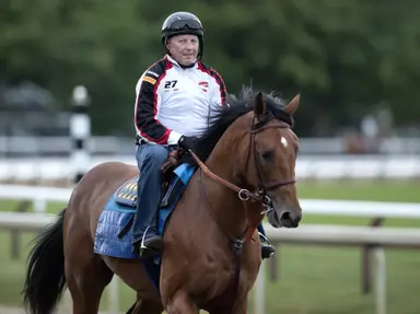Citizen Bull to stand at Ashford Stud following Breeders' Cup Dirt Mile