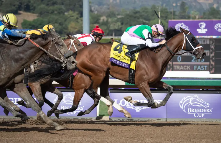 Idiomatic wins BC Distaff at SA Nov 4 2023