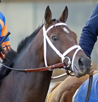 Fasig-Tipton California yearling sale starts Tuesday amid changing landscape