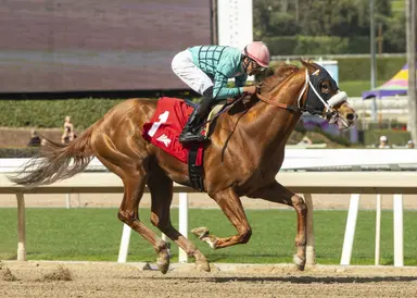 Breakout Beyers: Overlooked in the wagering, Vlahos runs like the wind