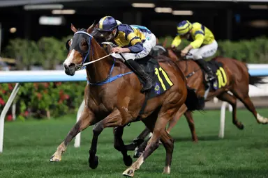 Fownes tightens title grip as Whyte ends drought with Happy Valley double