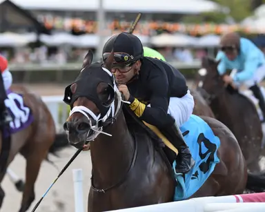 Twirling Queen ($38.20) regains winning form in Captiva Island