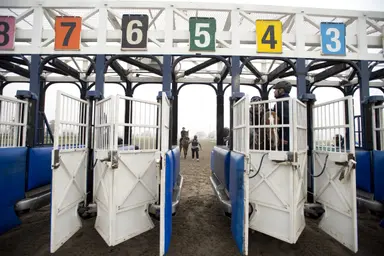 Woodbine: Opening day features mandatory payout in Power Pick 6 with $61,065 carryover