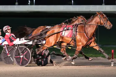 Harness: Nifty Norman with a busy stakes weekend at Yonkers, Pocono