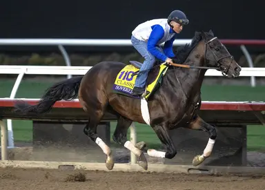 Sovereignty arrives for Oaklawn Handicap; Journalism gallops