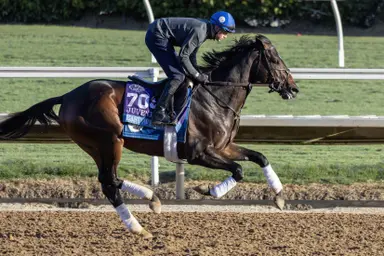 Kentucky Derby 2025: Godolphin has four good shots in bid for first win
