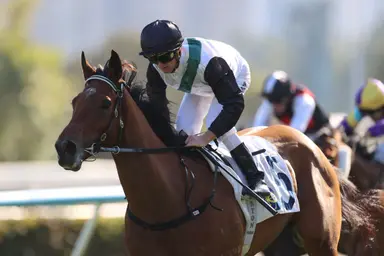 China Win seeks late BMW Hong Kong Derby berth at Happy Valley