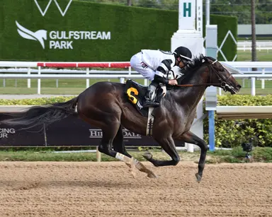 Chief Wallabee tops solid field for Florida Derby and its 200 Kentucky Derby qualifying points
