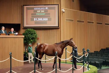 Keeneland sale’s Wednesday session topped by $1.3 million mare Anywho