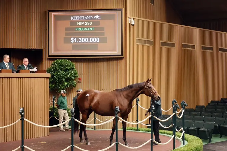Anywho $1.3 Million KEE Nov. 11.5.jpg