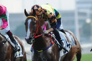 Magic Control primed for big New Year’s Day fixture at Sha Tin