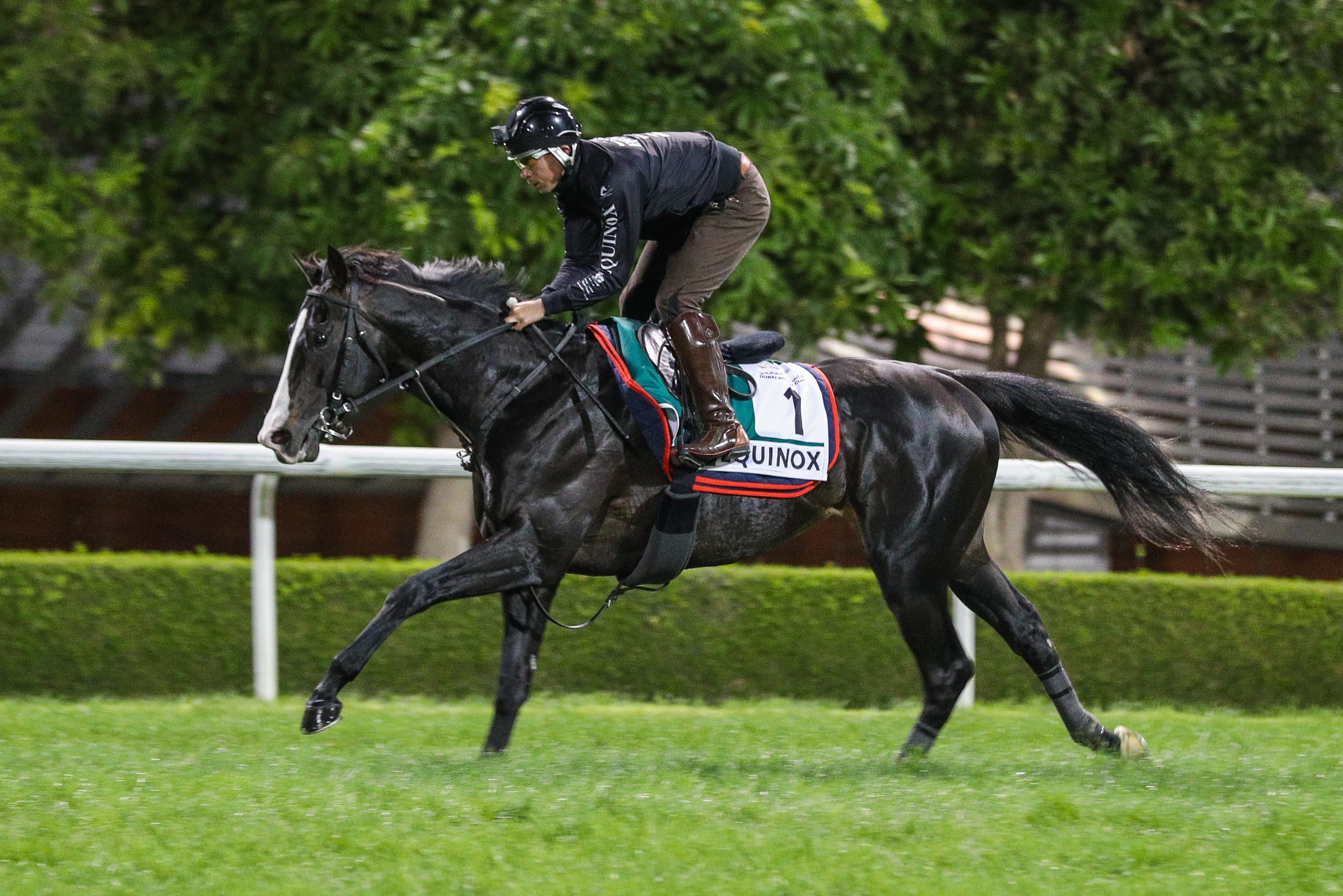 Japanese horses loom large in both Sheema Classic, Dubai Turf