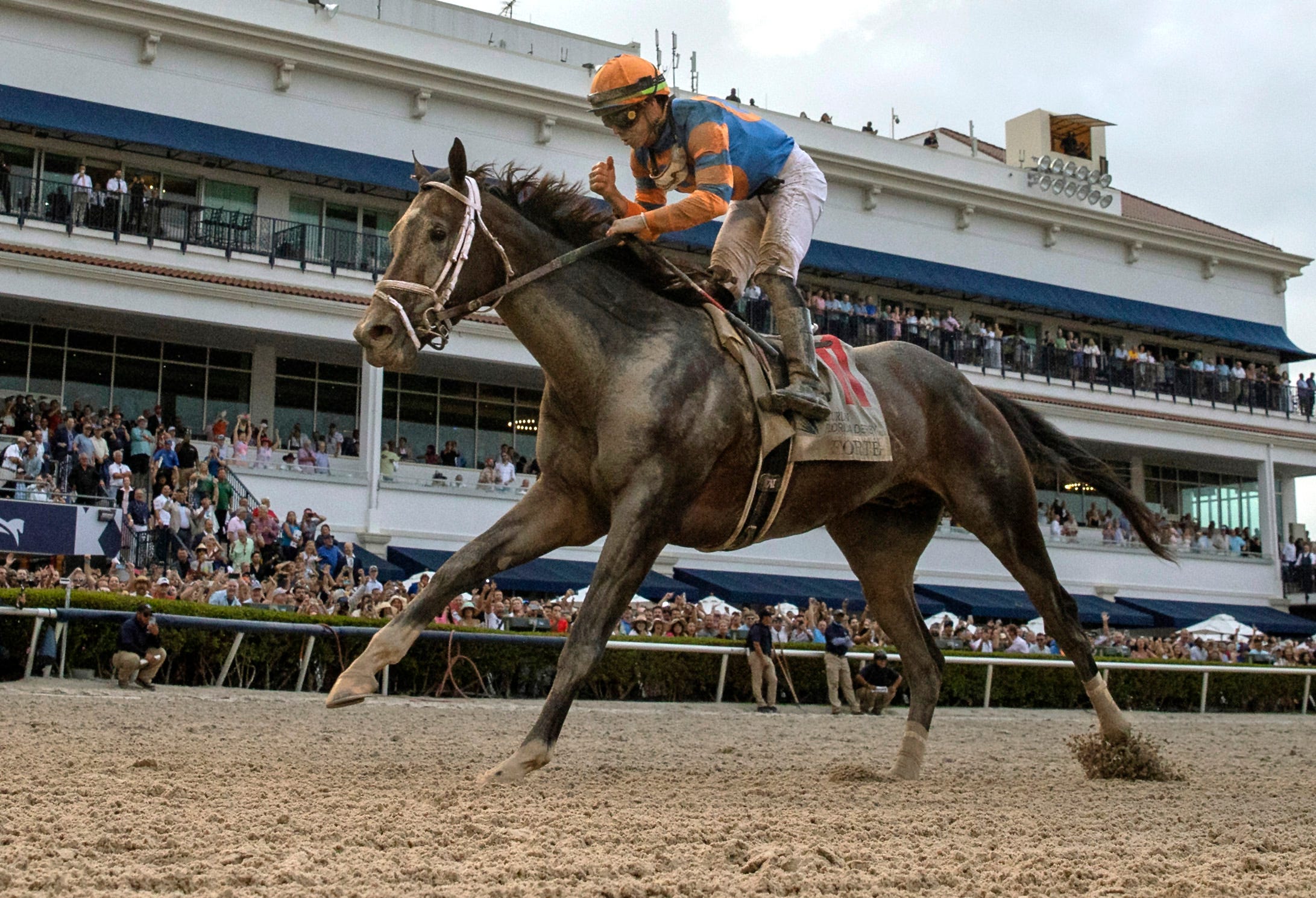 Kentucky Derby Pletcher works Forte, Kingsbarns, and Major Dude