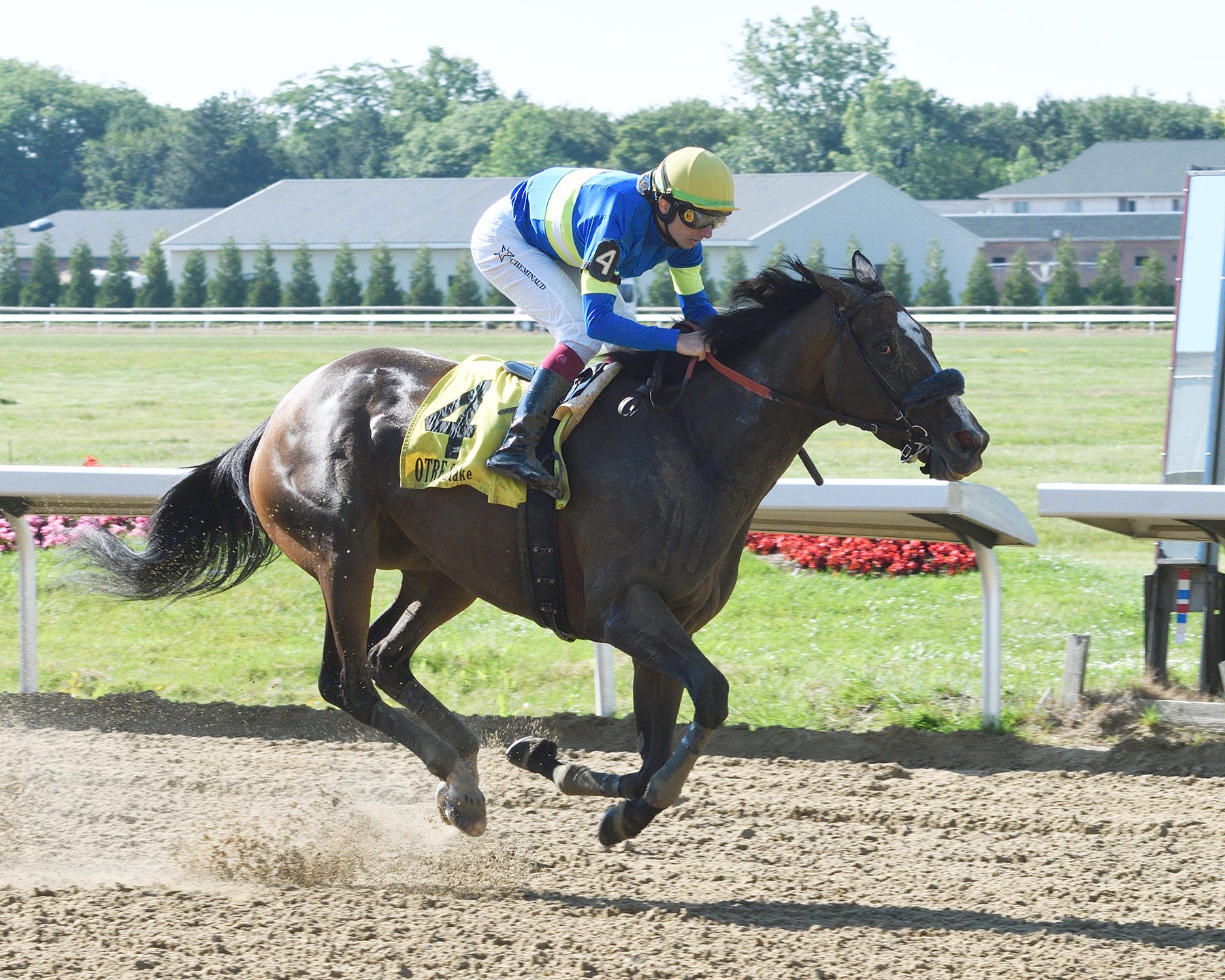 Le Da Vida gets revenge in Lady Jacqueline