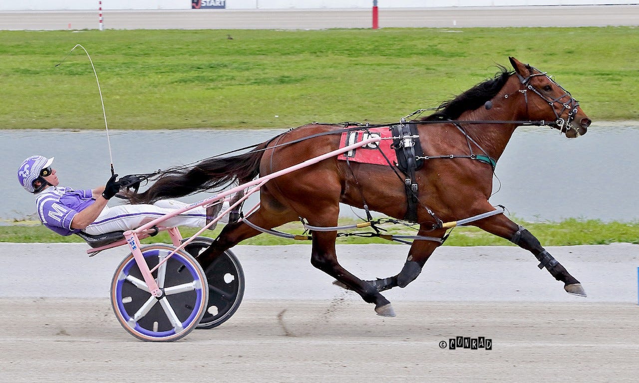 Harness For Once Inmy Life looks for Ohio Sires Stakes threepeat