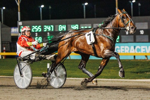 Harness: Down Under 'God of Thunder' joins International Trot lineup