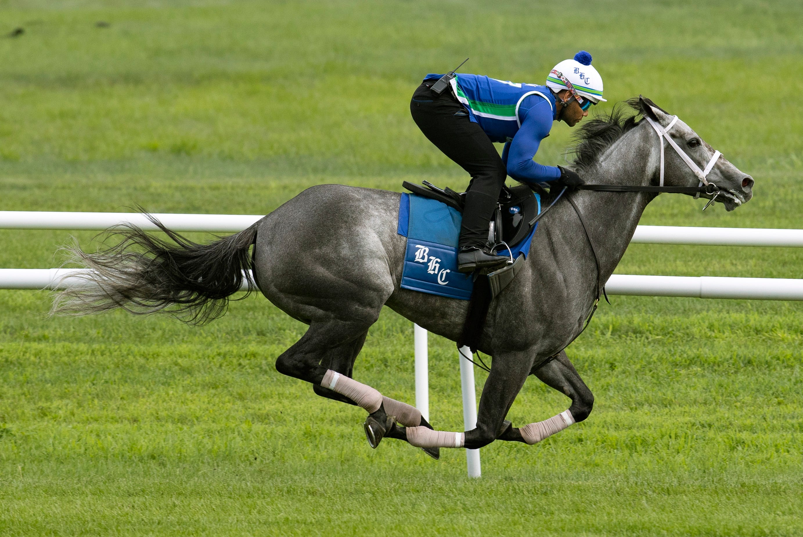 North American Stakes Schedule North American Stakes Schedule