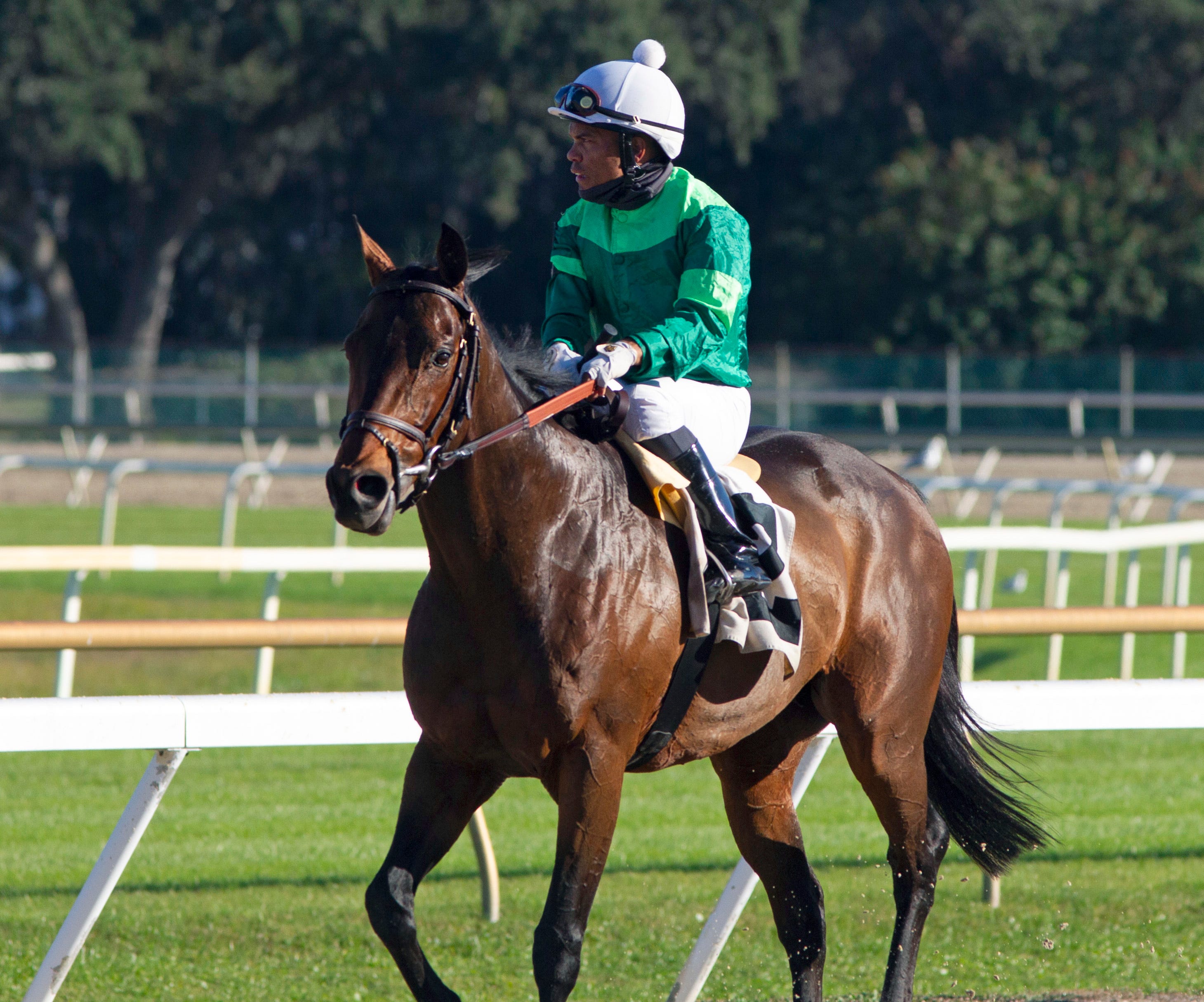 Pick six carryover features big fields, tough puzzles