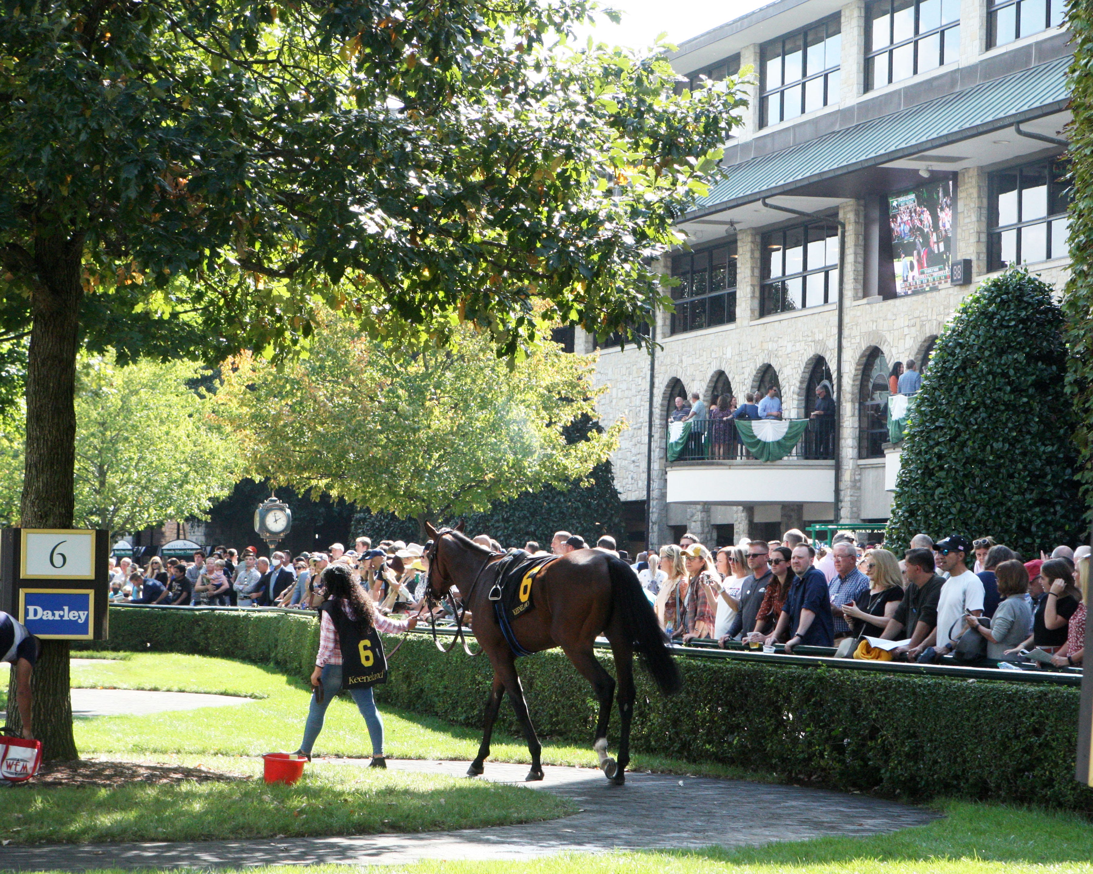 Keeneland to embark on 93M renovation, the most dramatic in its history