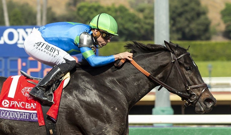 Breeders' Cup 2024 - News, Results And Entries | Daily Racing Form