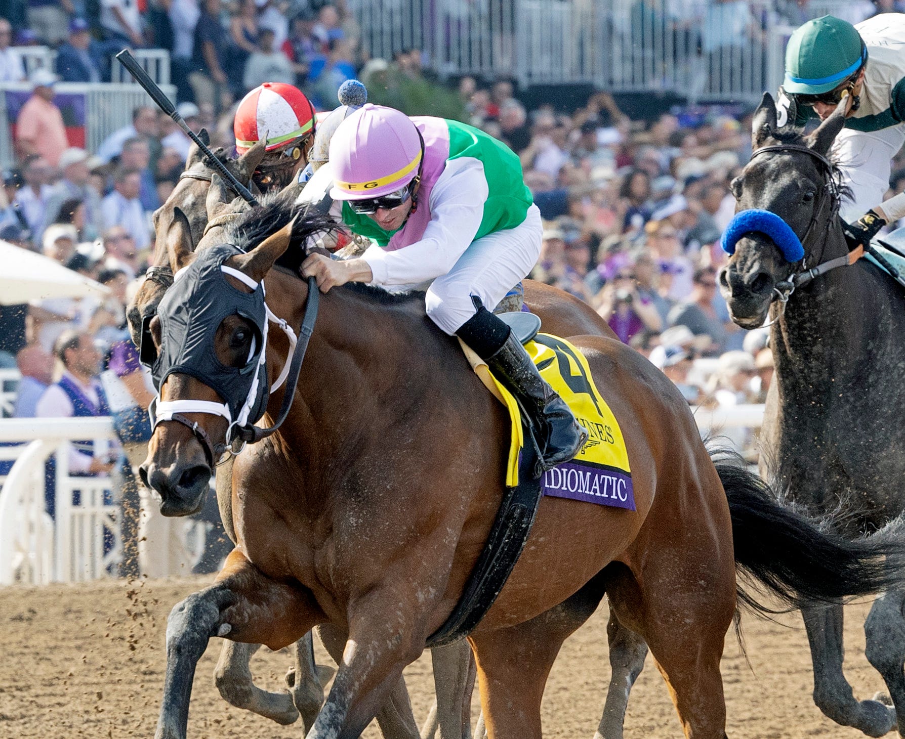 Cox regroups after mixed results at Breeders' Cup