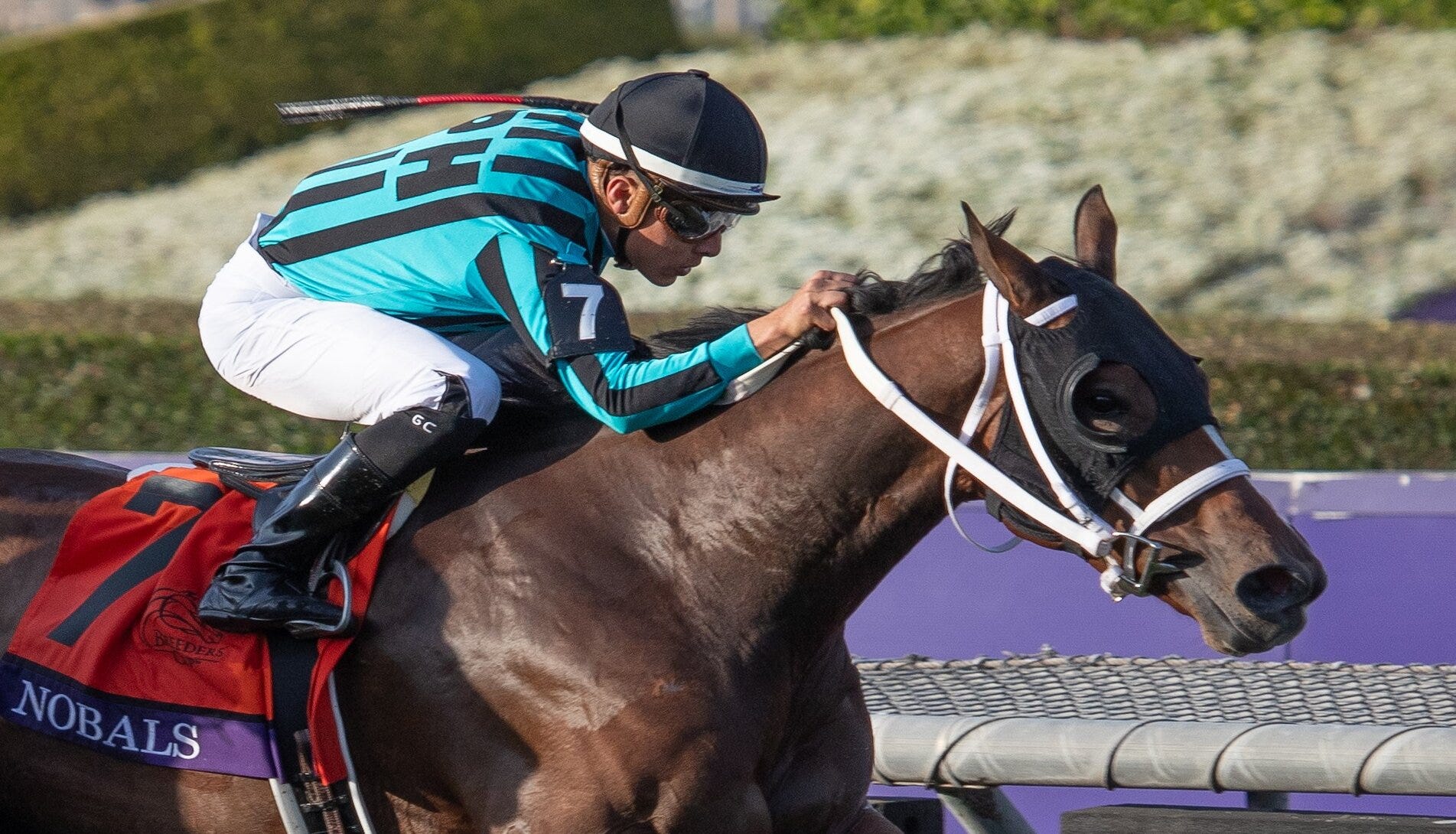 Breeders' Cup 2024 - News, Results And Entries | Daily Racing Form