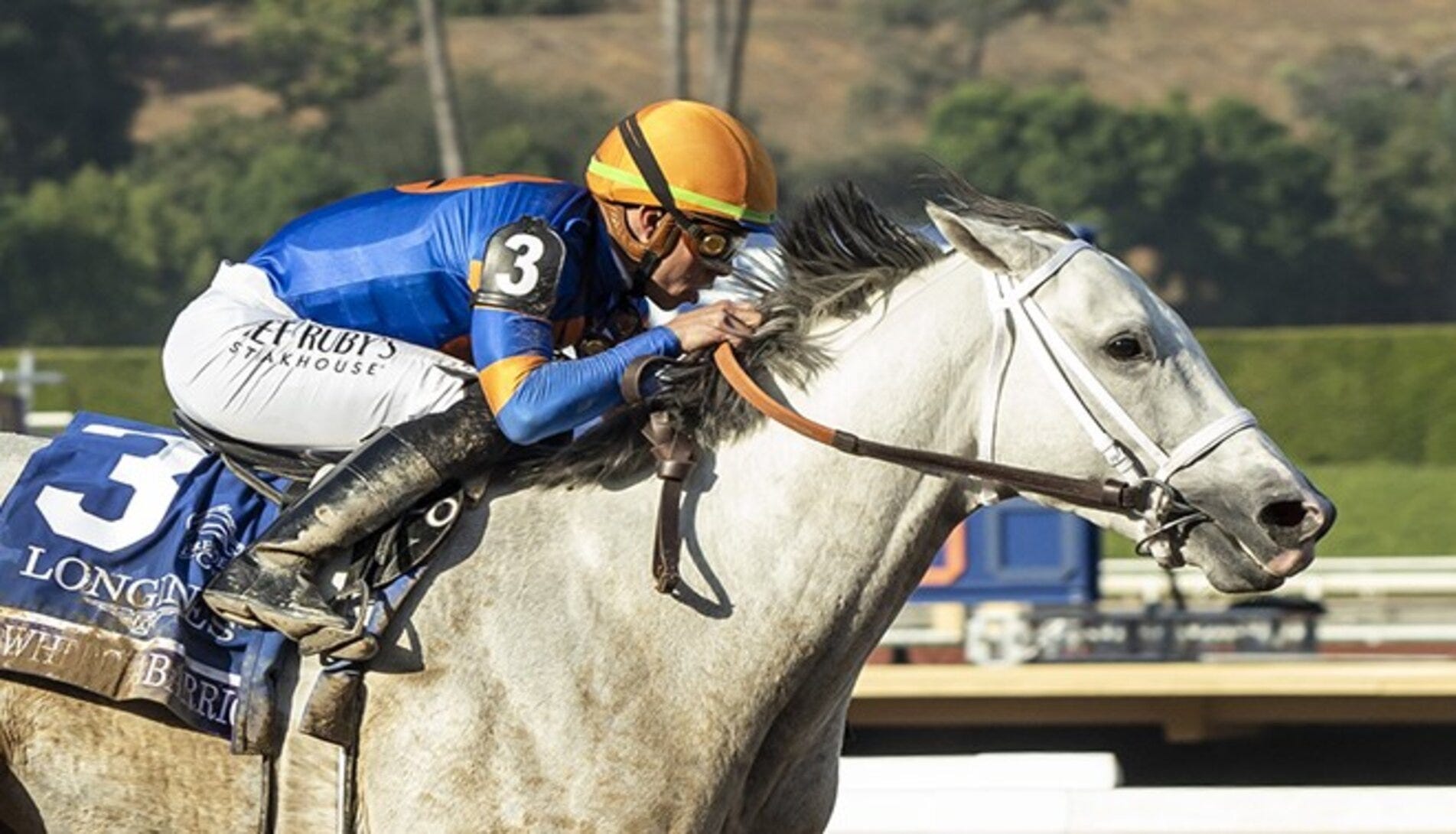 Breeders' Cup 2024 - News, Results And Entries | Daily Racing Form