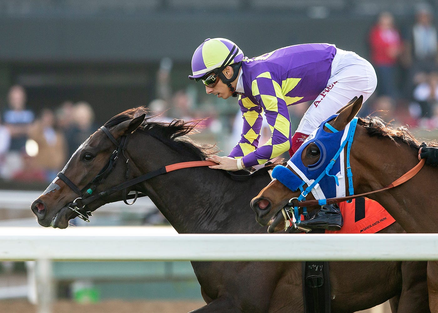 Medoro wide trip to win Blue Norther Stakes