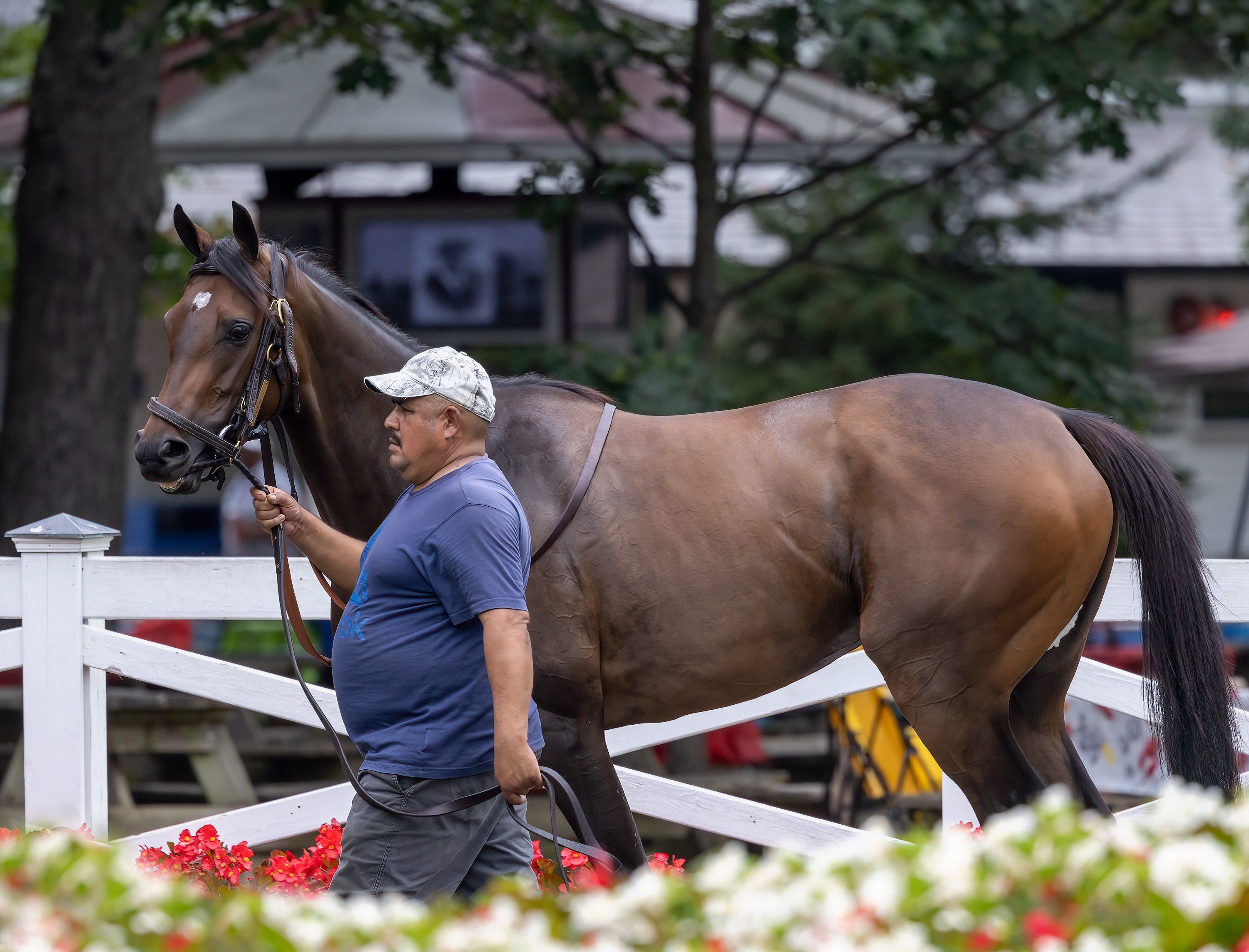 Unlocking Potential: The Impact of Lakota Onelogin Students