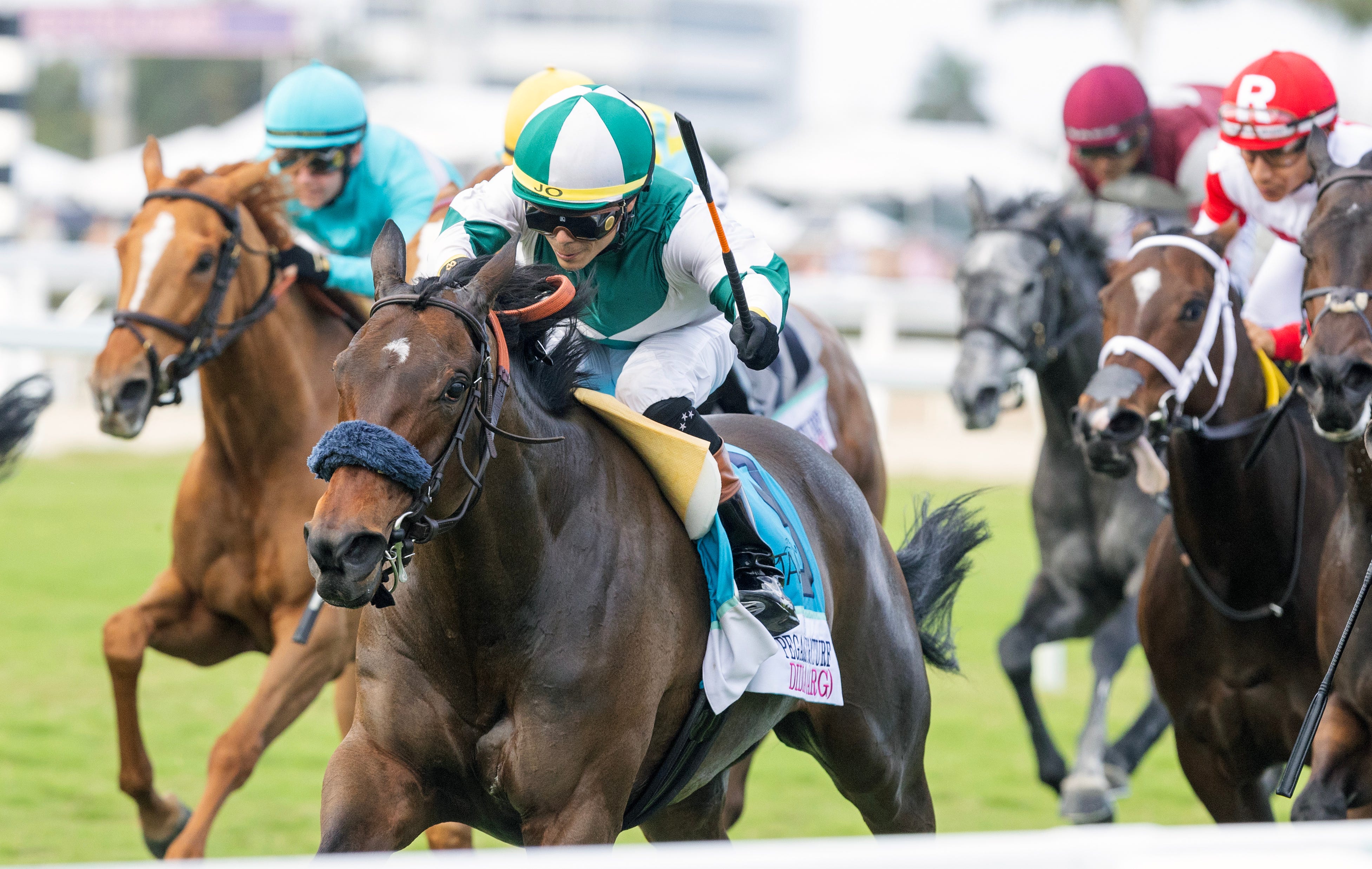 Didia outlasts rivals in Pegasus World Cup Filly and Mare Turf