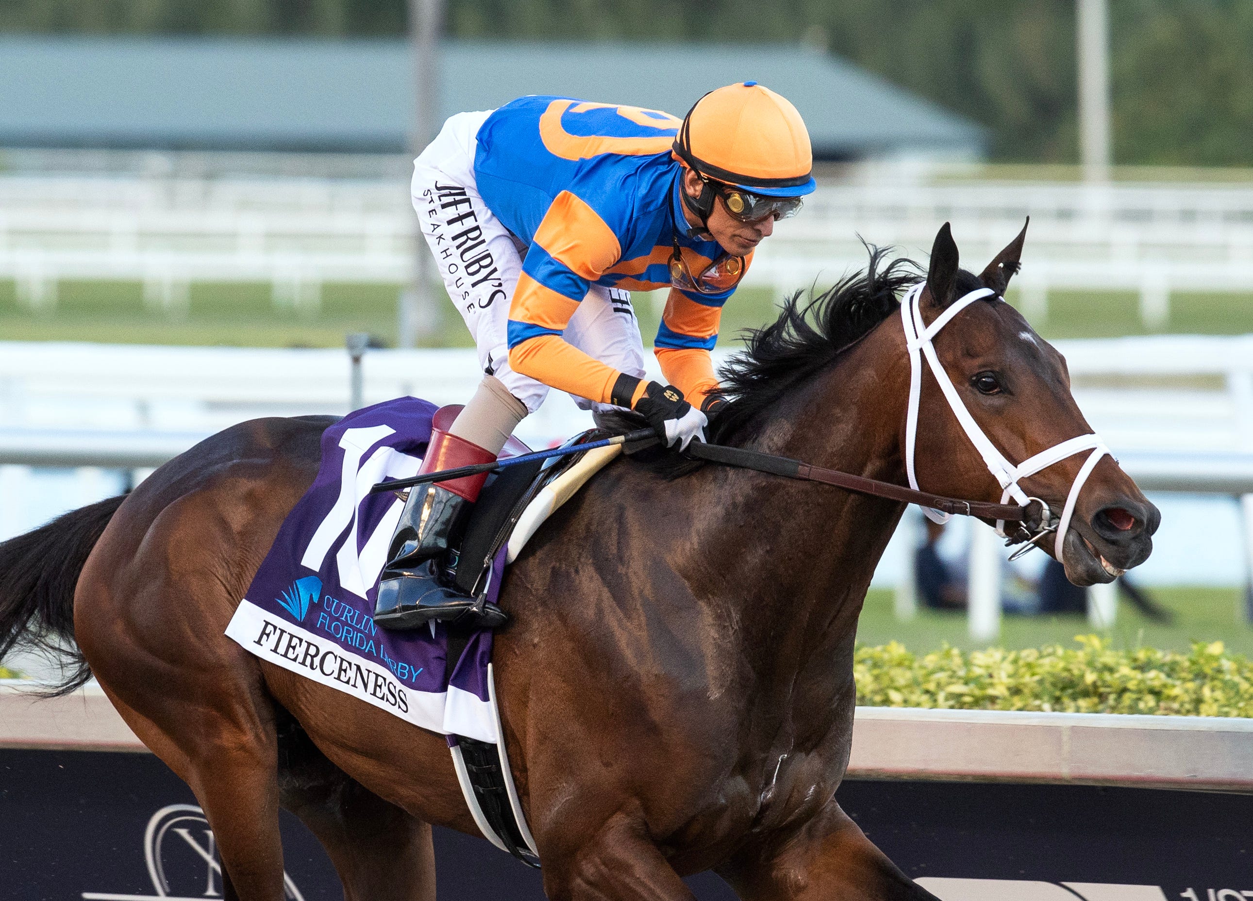 Fierceness makes statement with dominating Florida Derby triumph Fierceness makes statement with dominating Florida Derby triumph