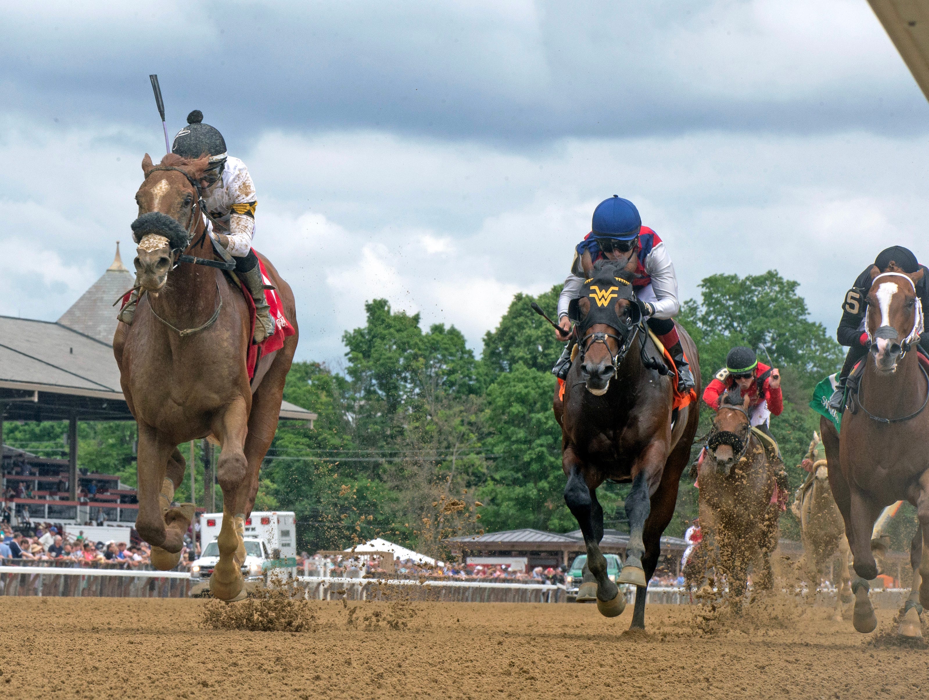 Studlydoright rallies to victory in Tremont Stakes