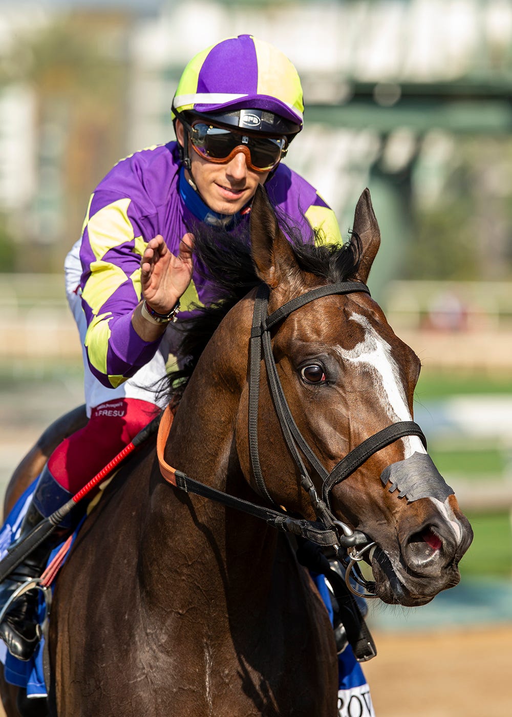 Undefeated Medoro makes her return in San Clemente