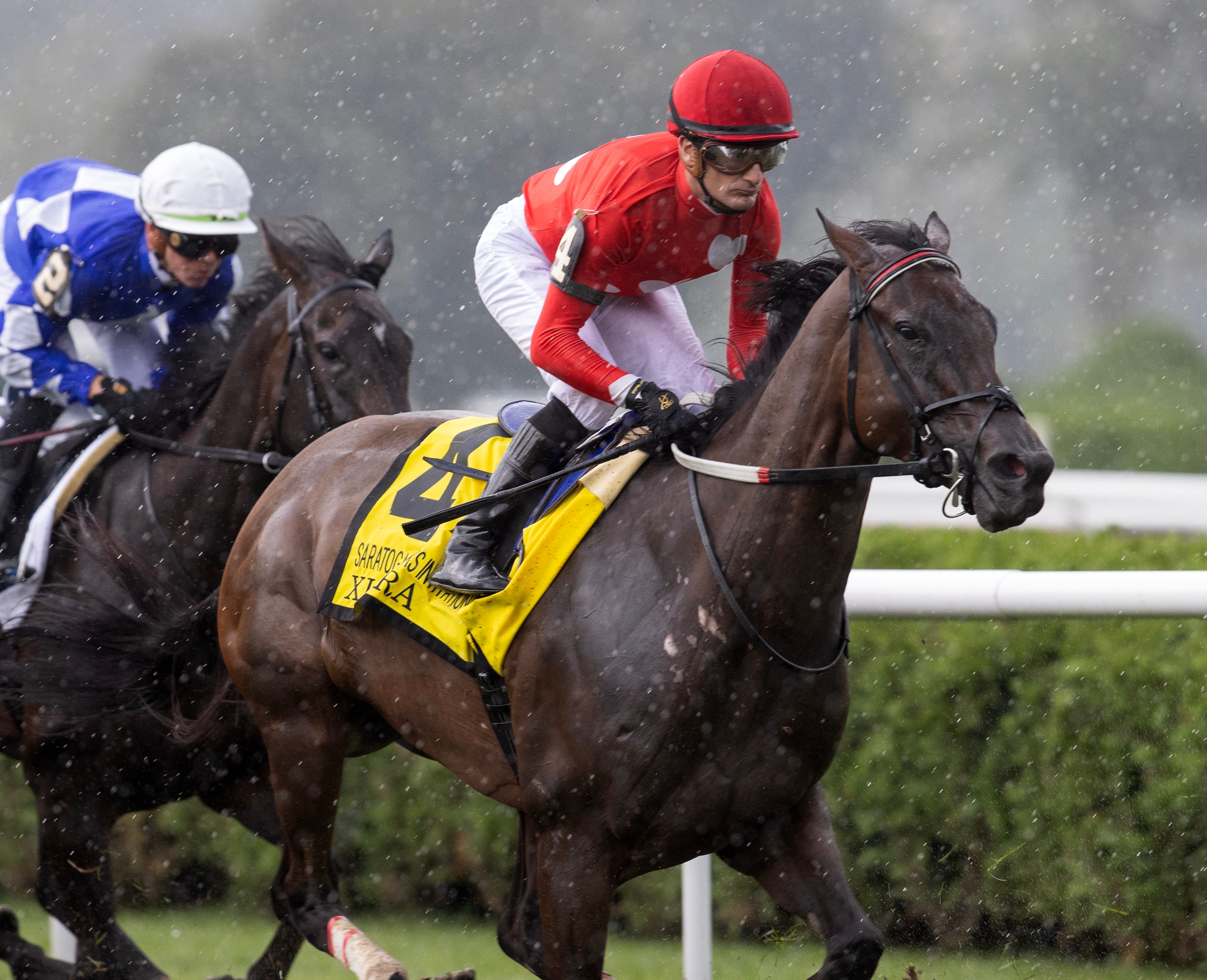 Bauer sets sights on graded stakes with top runners