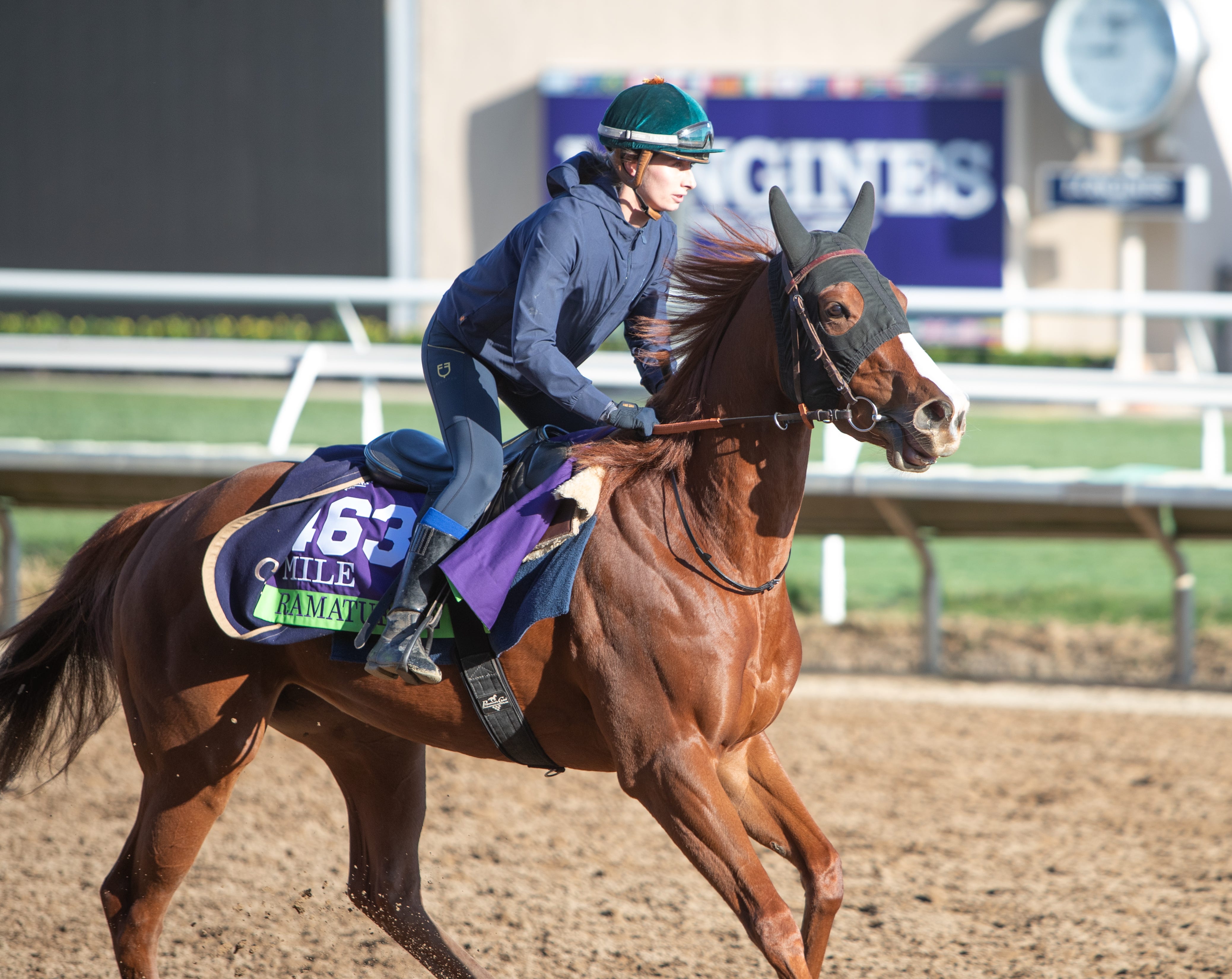 Breeders' Cup Mile: Head looks to add sixth jewel to family crown with ...