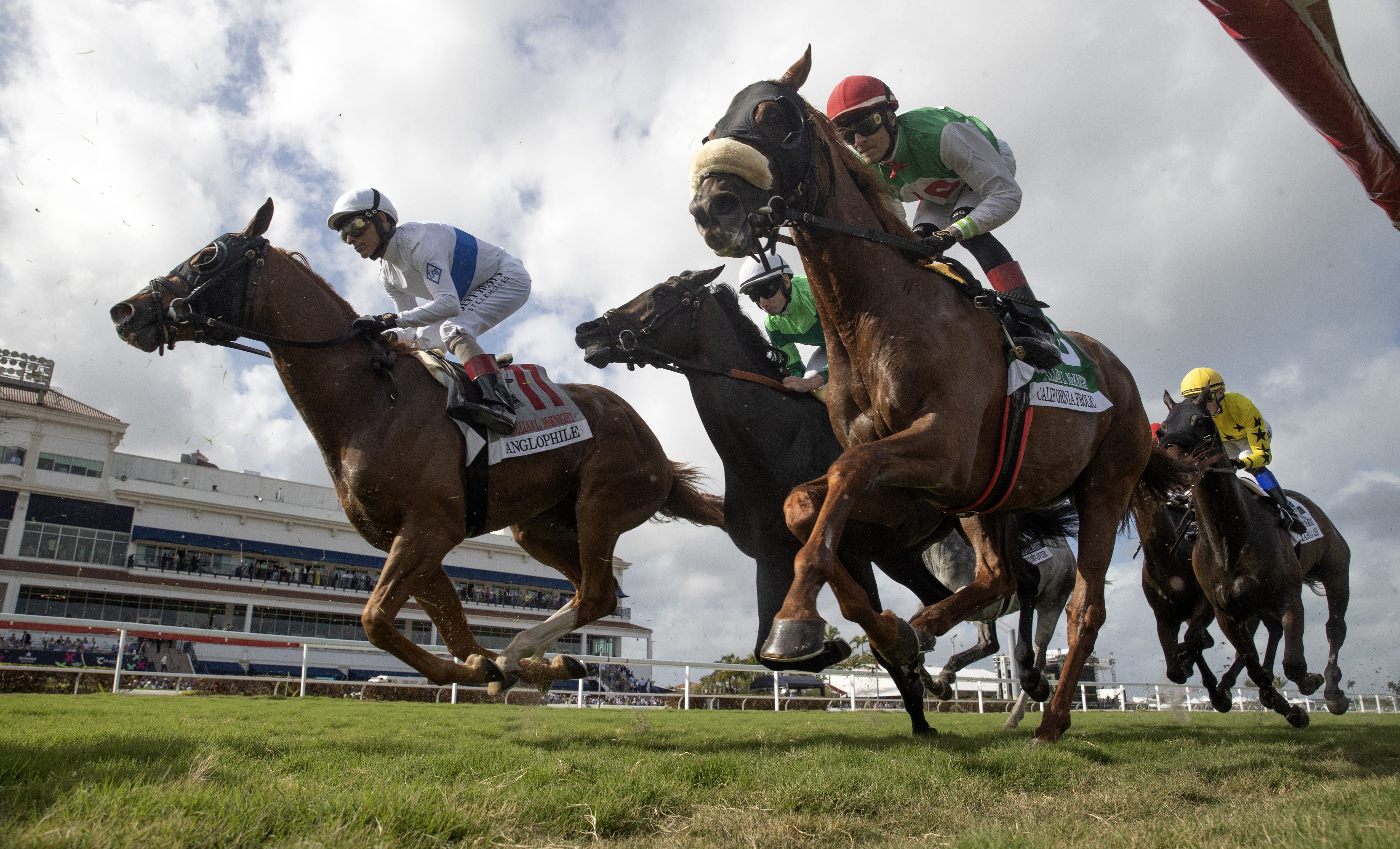 Overall fatality rate down 27 percent at HISA tracks in 2024