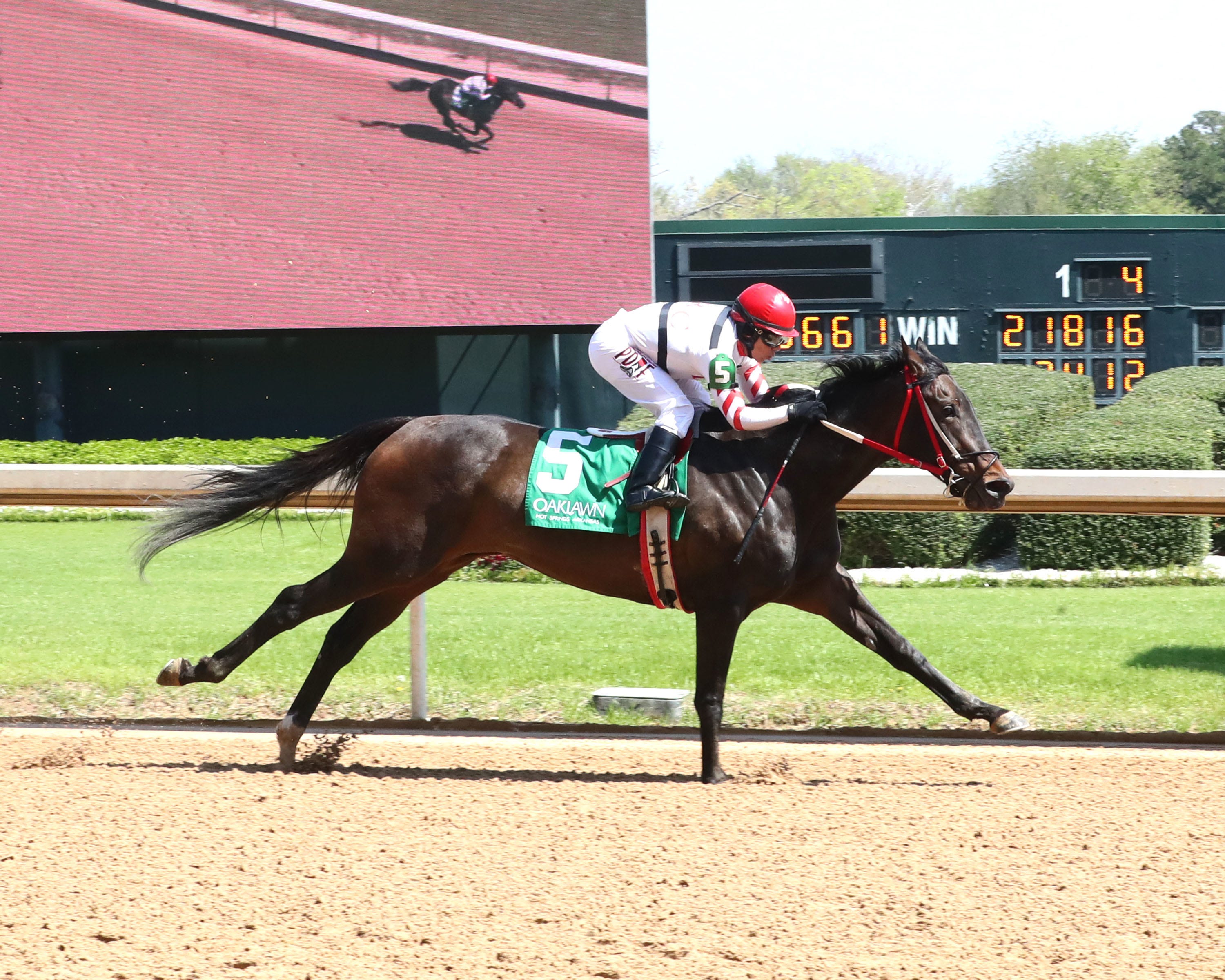 El Rey Rey, Molly Jensen solid bets against favorites