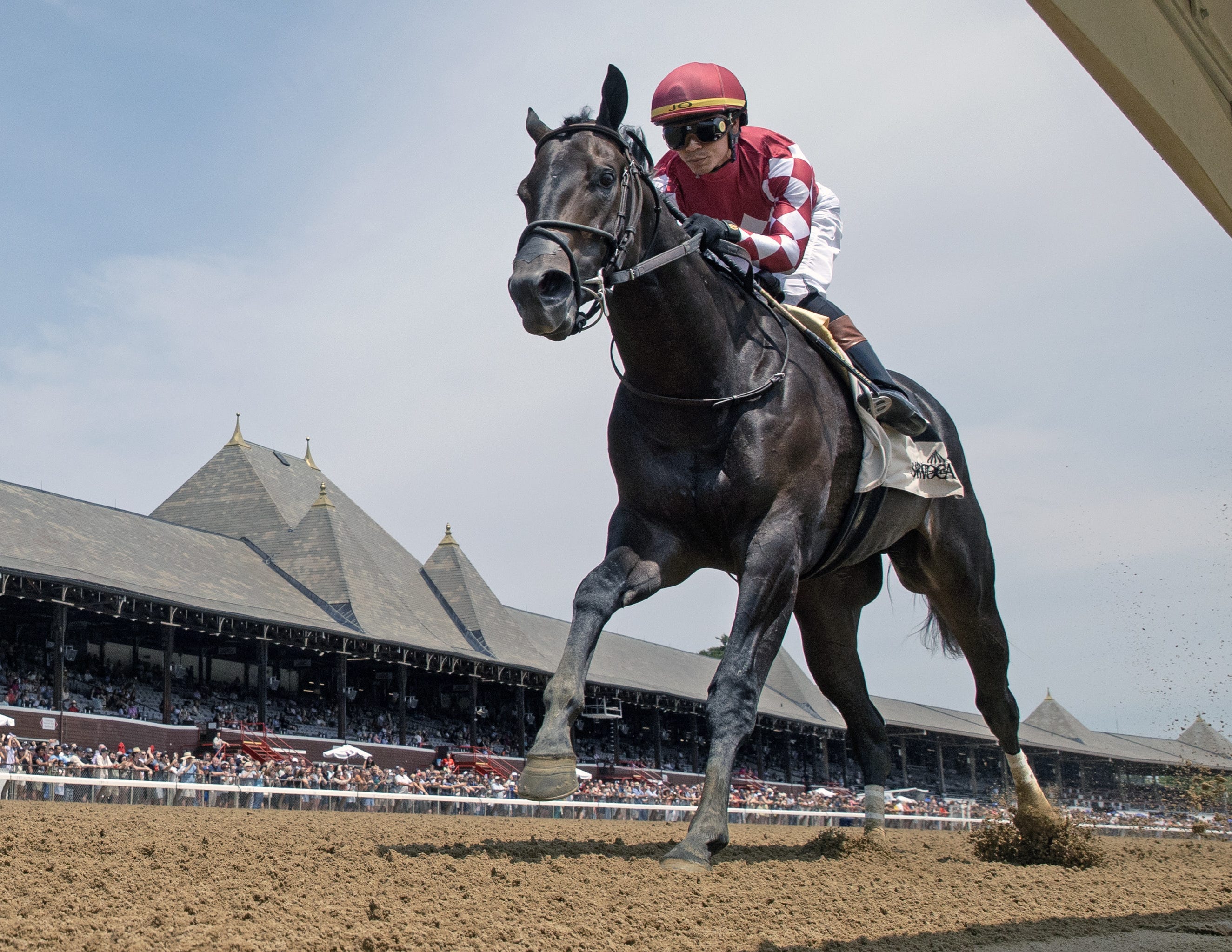 Ewing likely for Saratoga Special with Breeders' Cup the major goal