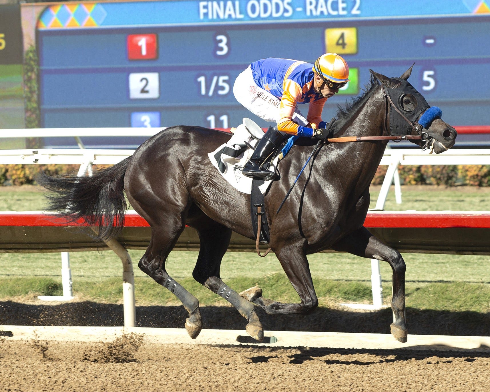 Curtsy gets started, while Splendora turns back