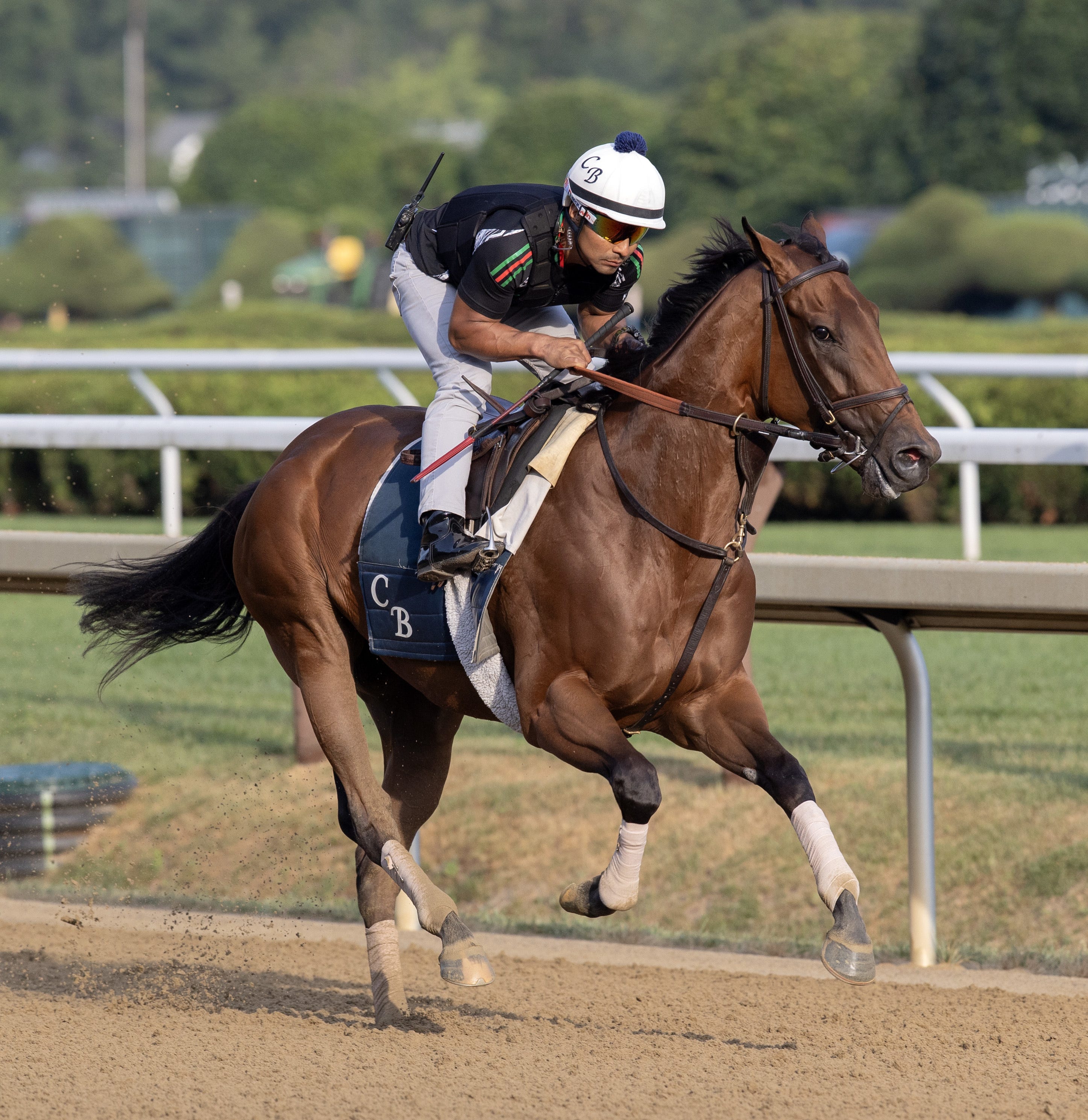 Ways and Means to miss Ballerina with fever