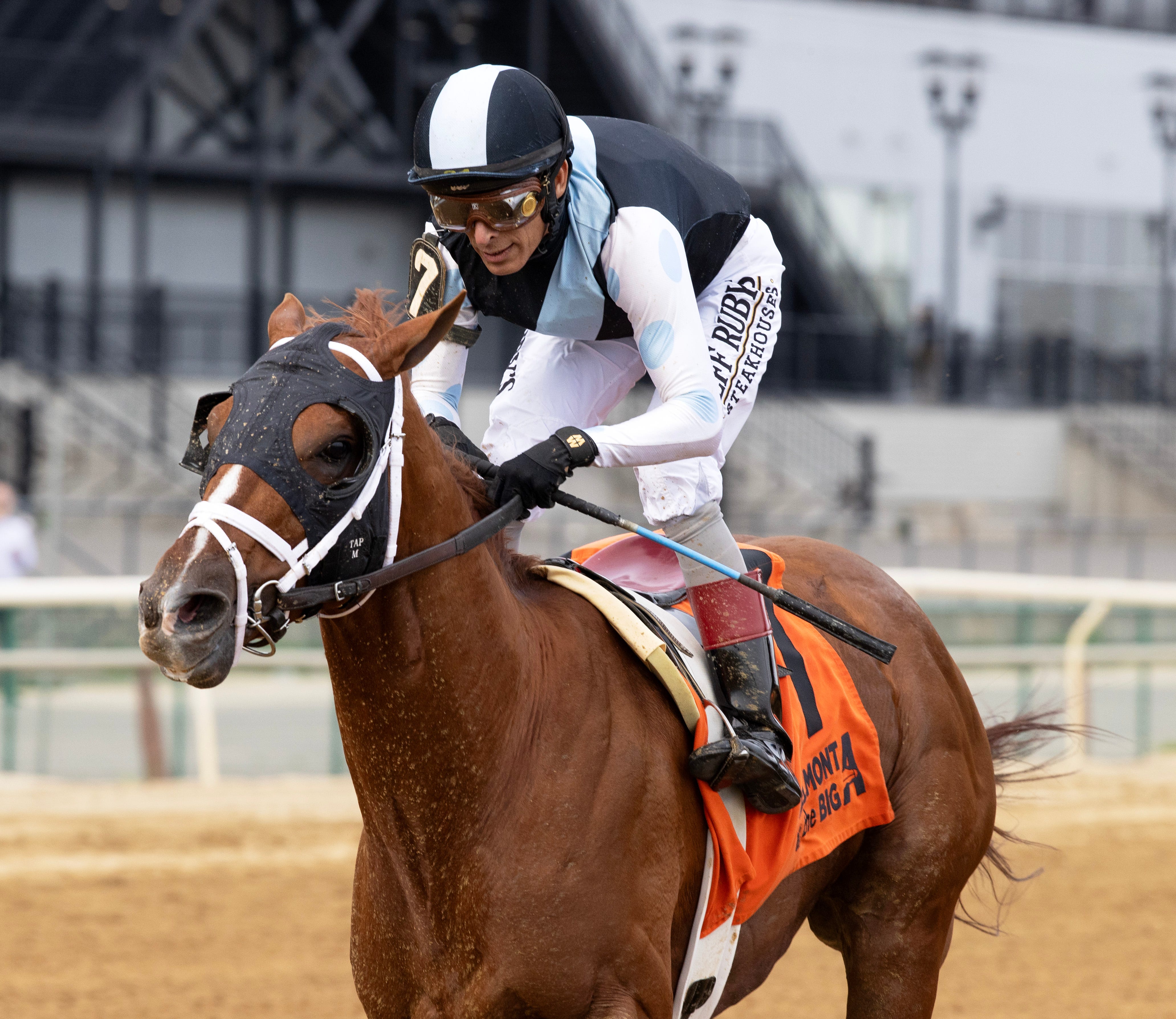 ビジネス・経済 HIT WIN VICTORY II OF HORSE RACE ビジネス・経済 HIT WIN VICTORY II OF HORSE RACE horse3-1229