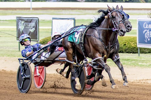 Red Mcfly Races Red Mile: Todd McCarthy cleans up in Kentucky Sire Stakes for 4YO pacers