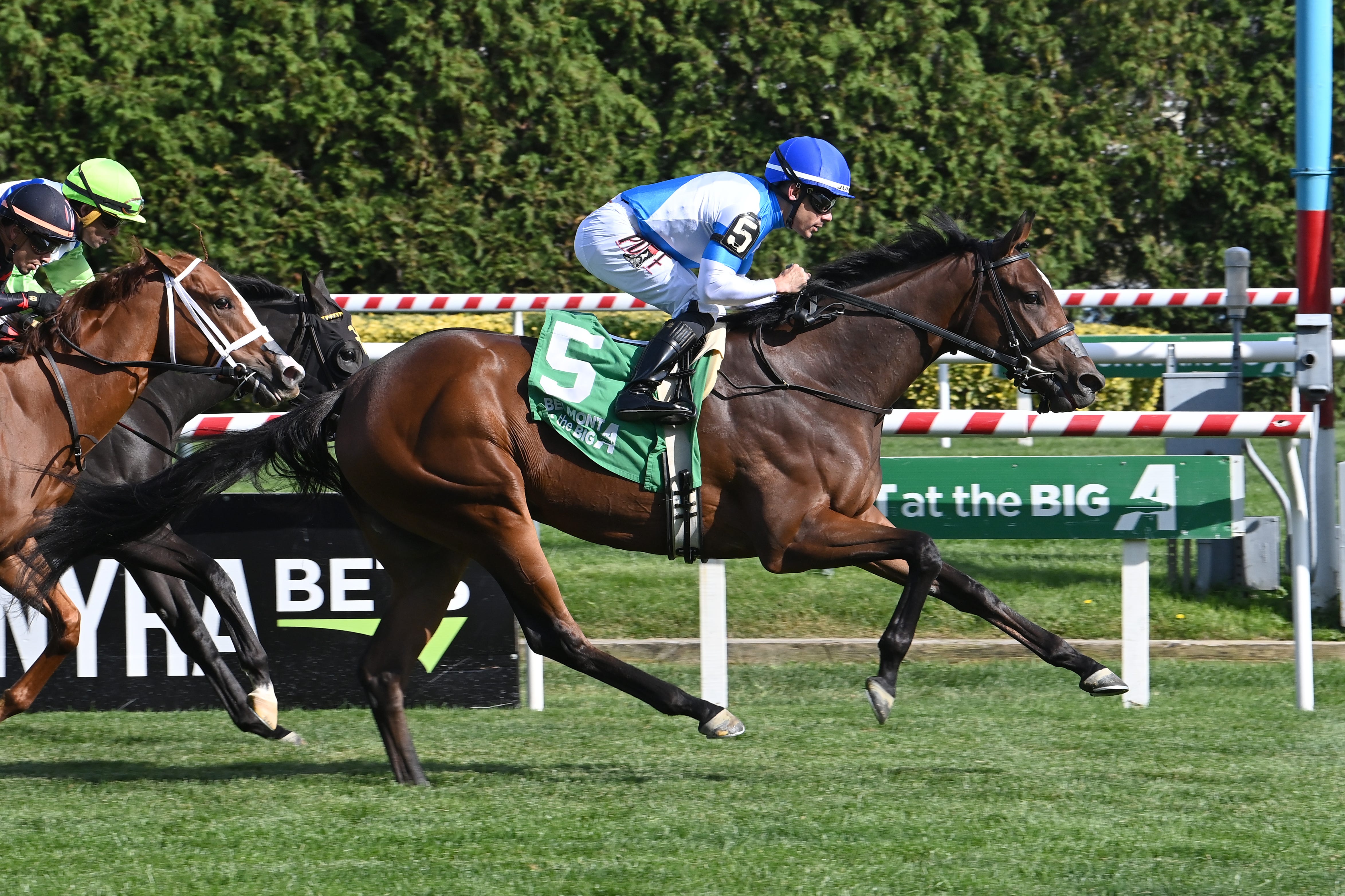 Final Accord makes late move to win Matron