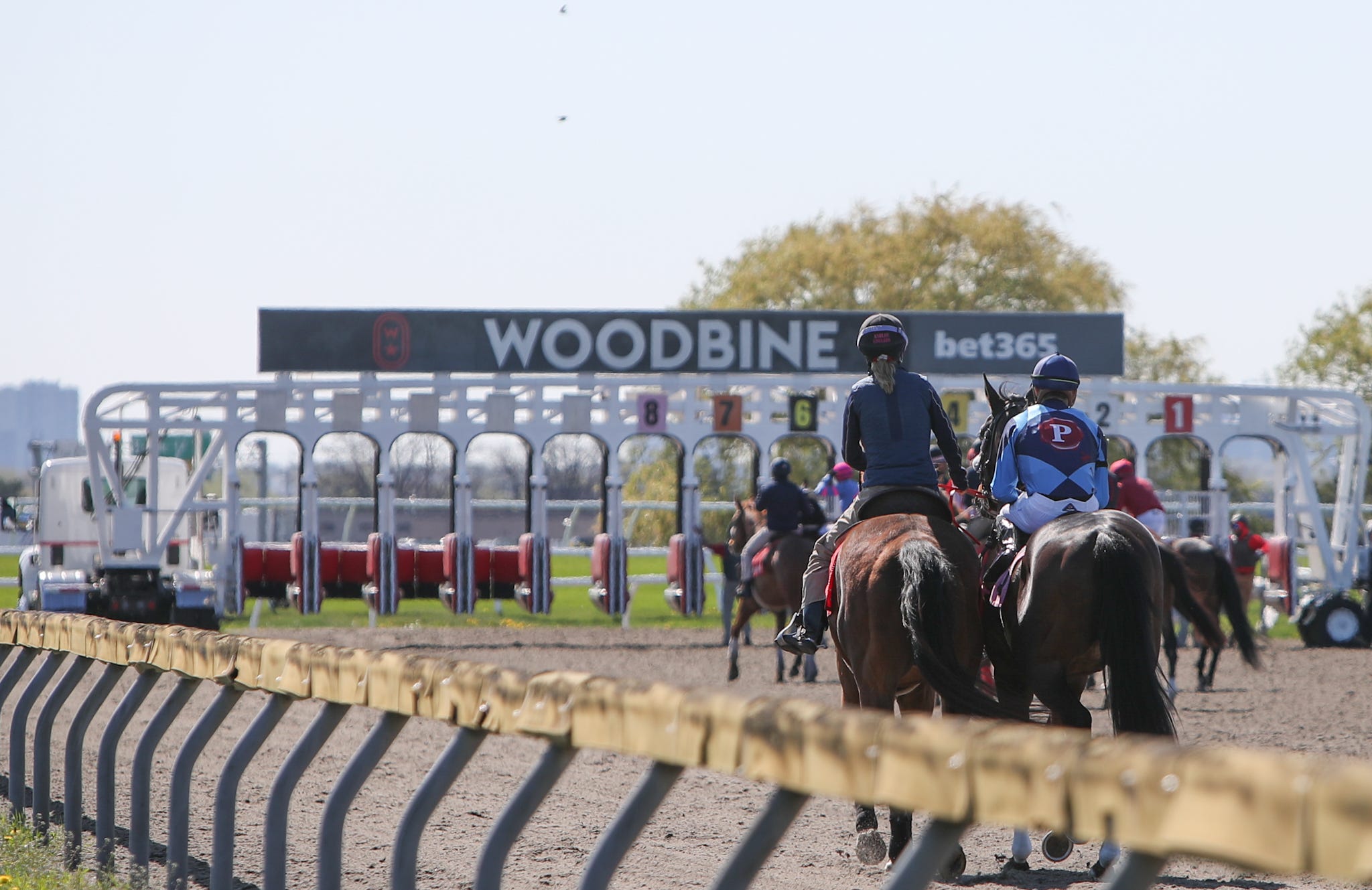 Streaking Maximum Fifty gets slight step up in class
