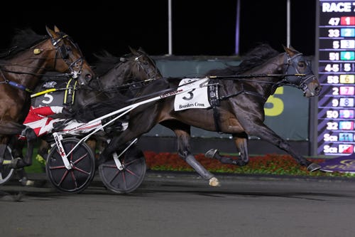 Meadowlands: Breeders Crown winner French Wine makes 2026 debut in Cutler