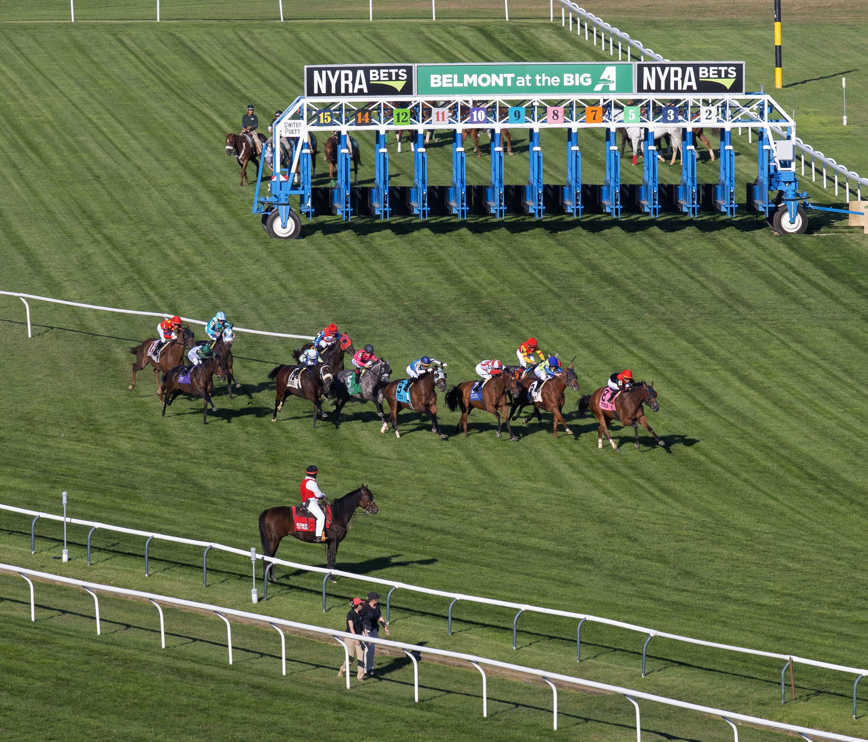 Another week of turf racing possible