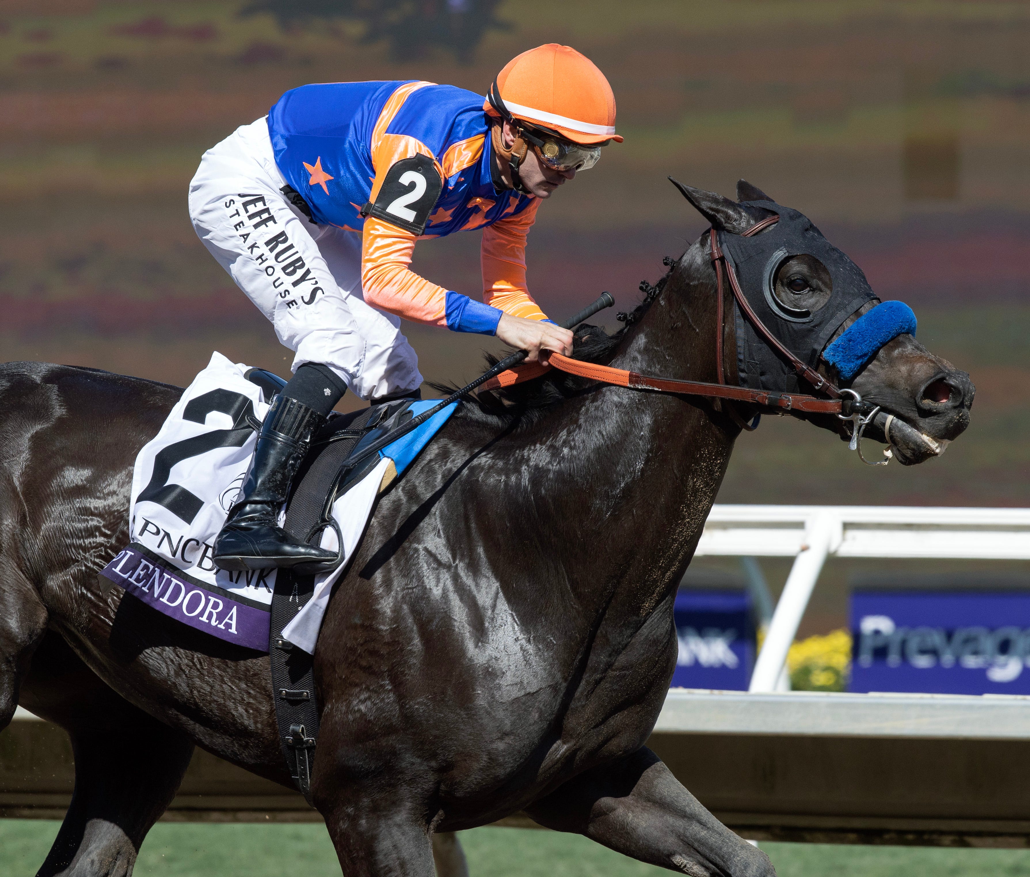 Brad Free's Del Mar Horses to Watch for week of Oct. 30-Nov. 2, 2025