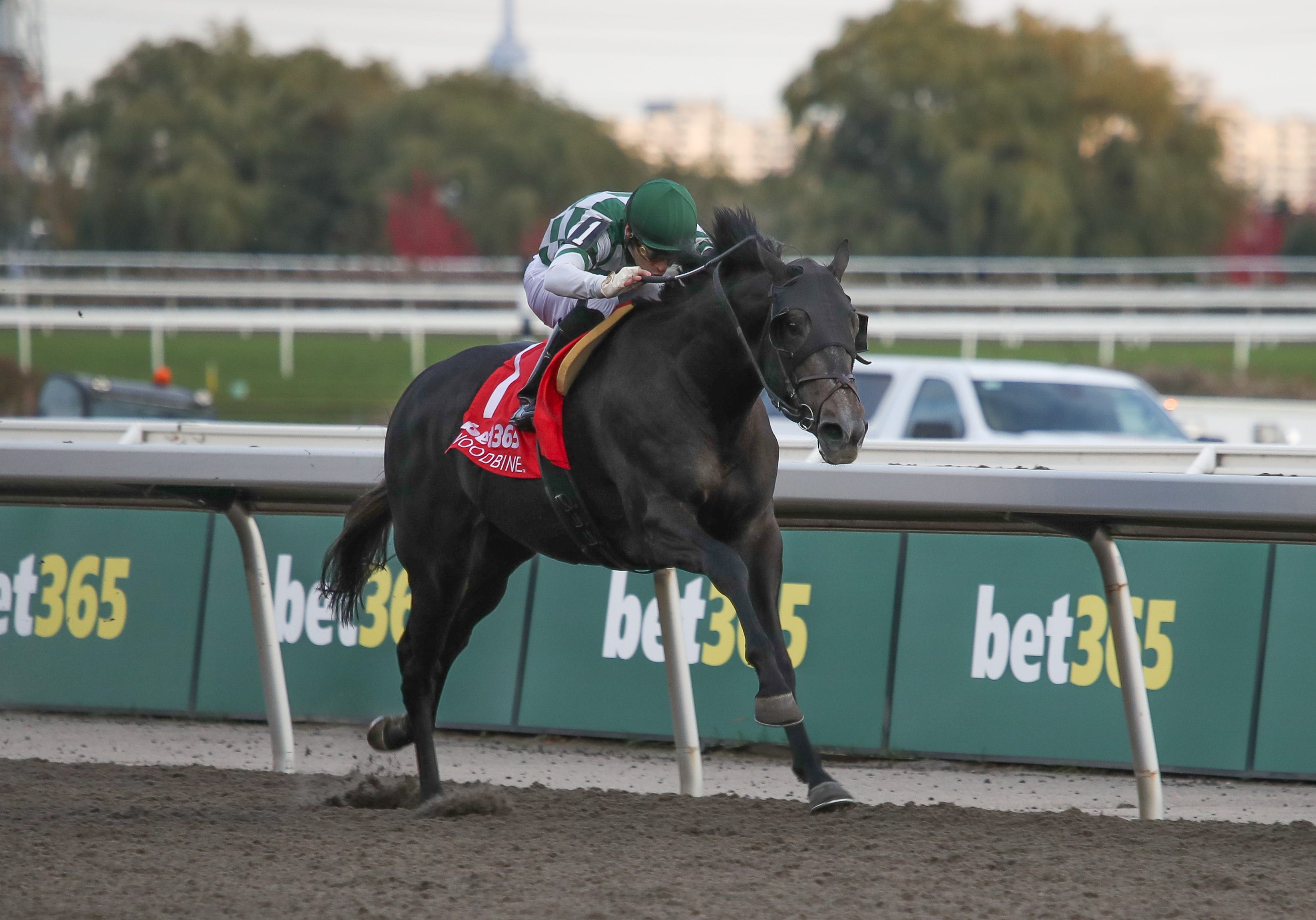 The Big Con takes Grey; Dixie Law prevails in Mazarine