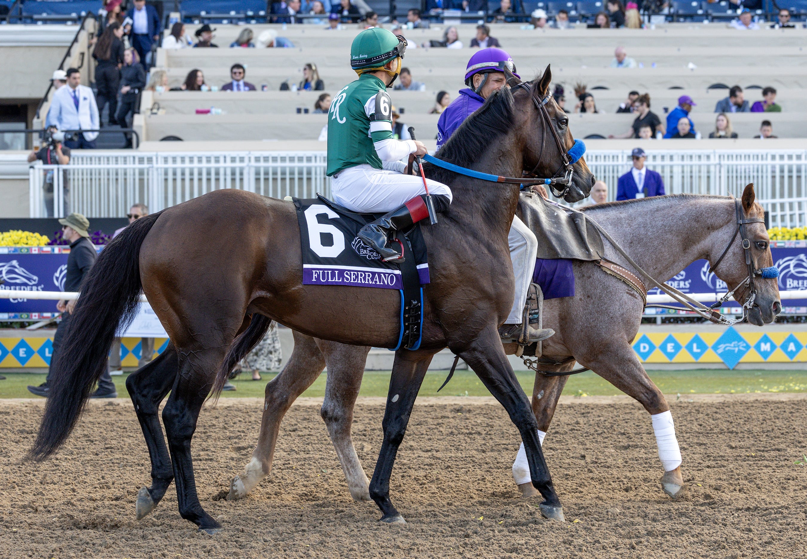 Full Serrano to bypass Pincay; Pegasus World Cup possible