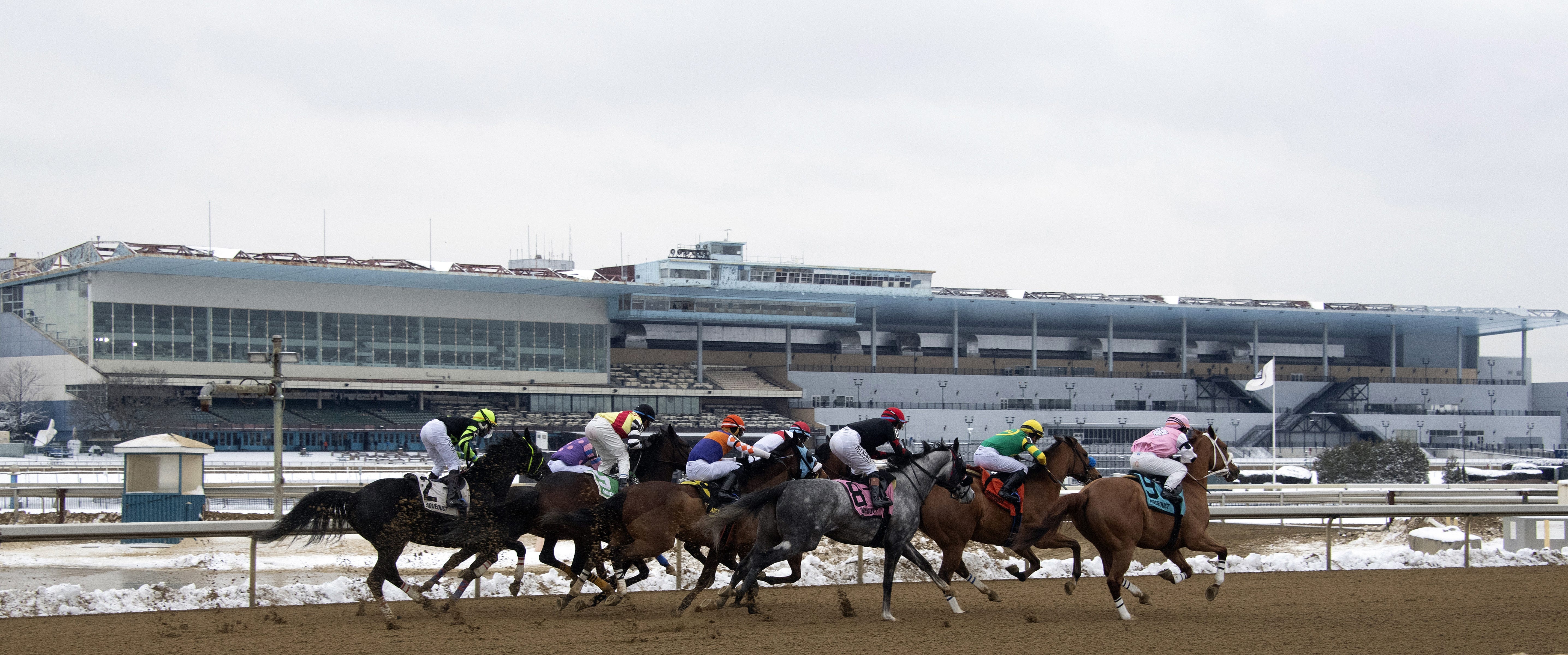 DRF's Horse Racing Playbook for Saturday, March 7, 2026